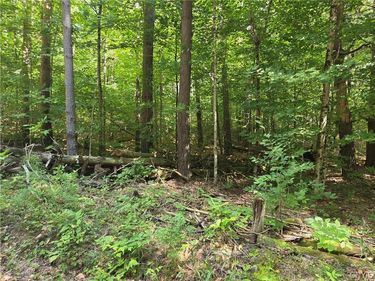 Lot 1 George Hill Road, Glenfield, NY 13343