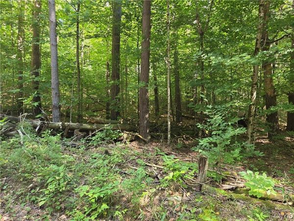 Lot 1 George Hill Road, Glenfield, NY 13343