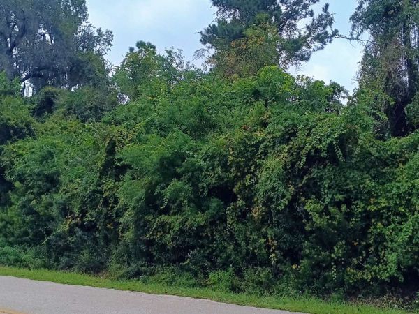 311 SW DEANNA TERRACE, Lake City, FL 32025