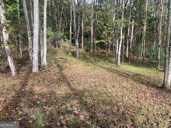 LOT 132 Fox Cove Road, Blairsville, GA 30512