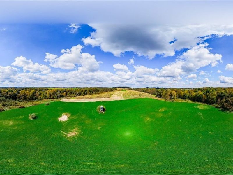 163 County Road 3, Rayland, OH 43943 Photo 40