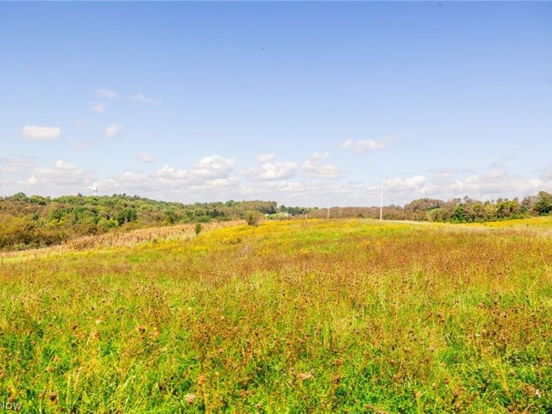 163 County Road 3, Unit 1, Rayland, OH 43943 Photo 18