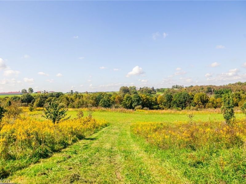 163 County Road 3, Unit 1, Rayland, OH 43943 Photo 19