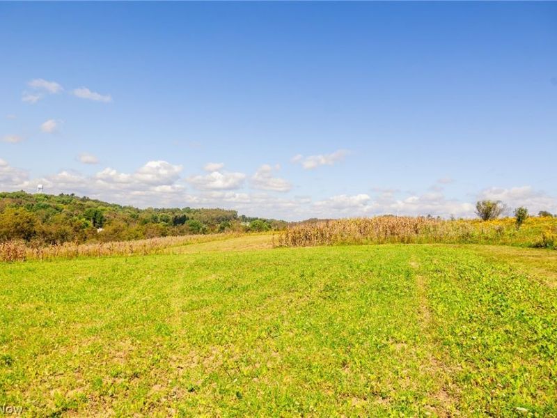 163 County Road 3, Unit 1, Rayland, OH 43943 Photo 20