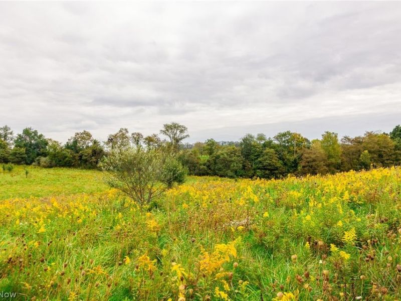 163 County Road 3, Unit 2, Rayland, OH 43943 Photo 18