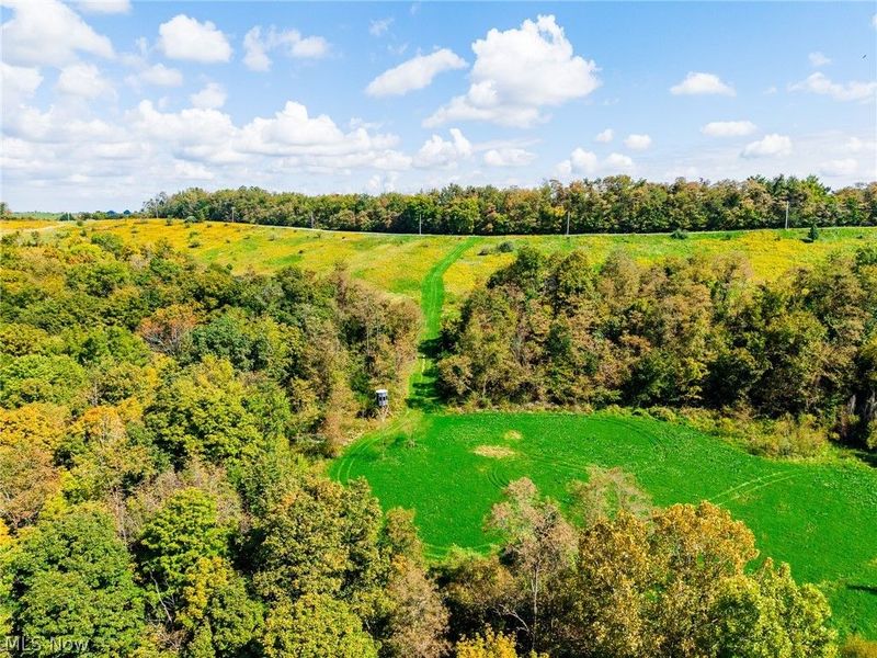 163 County Road 3, Unit 3, Rayland, OH 43943 Photo 11