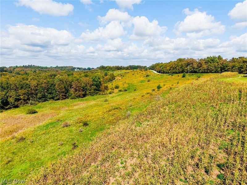 163 County Road 3, Unit 3, Rayland, OH 43943 Photo 18