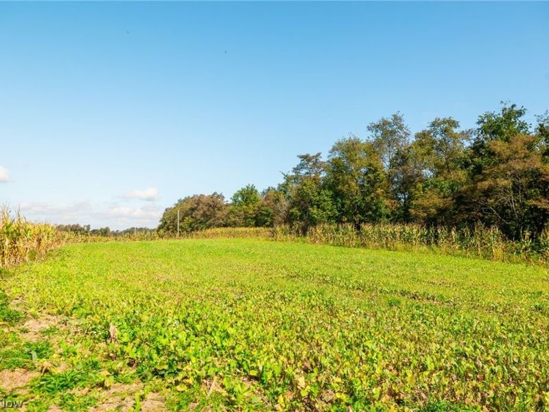 163 County Road 3, Unit 3, Rayland, OH 43943 Photo 24