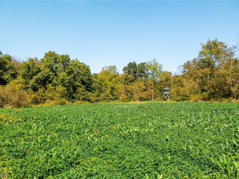 163 County Road 3, Unit 3, Rayland, OH 43943 Photo 30