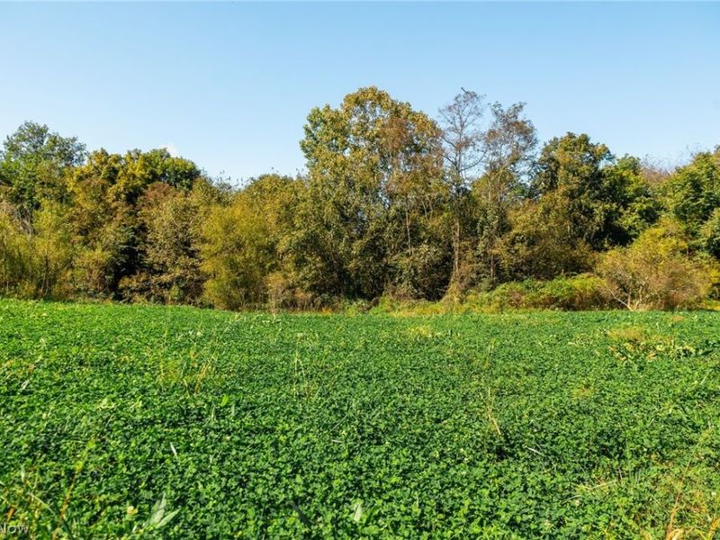 163 County Road 3, Unit 3, Rayland, OH 43943 Photo 31
