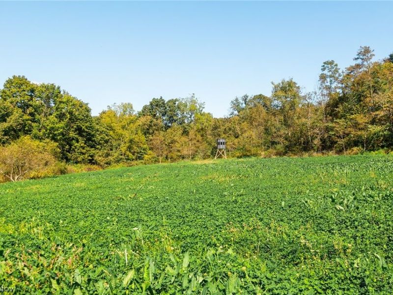 163 County Road 3, Unit 3, Rayland, OH 43943 Photo 40