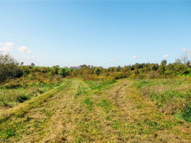 163 County Road 3, Unit 3, Rayland, OH 43943 Photo 43