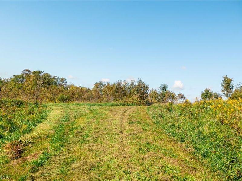 163 County Road 3, Unit 3, Rayland, OH 43943 Photo 44
