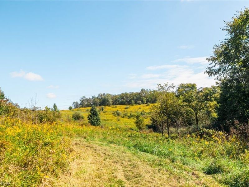 163 County Road 3, Unit 3, Rayland, OH 43943 Photo 46