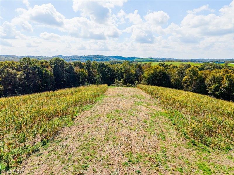 163 County Road 3, Unit 5, Rayland, OH 43943 Photo 41