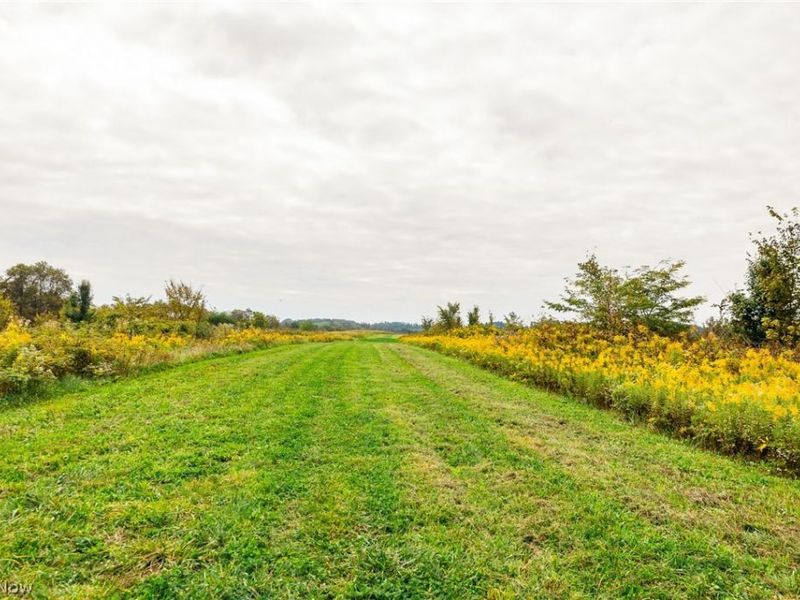 163 County Road 3, Unit 5, Rayland, OH 43943 Photo 45