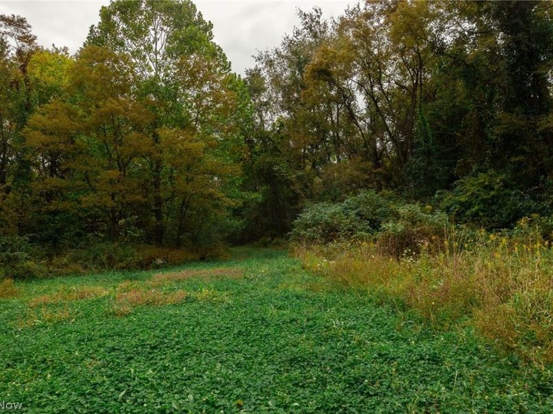 163 County Road 3, Unit 6, Rayland, OH 43943 Photo 36