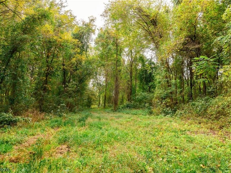 163 County Road 3, Unit 6, Rayland, OH 43943 Photo 37