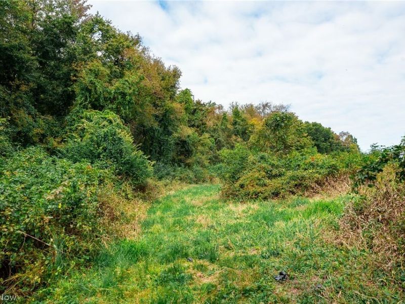 163 County Road 3, Unit 6, Rayland, OH 43943 Photo 40