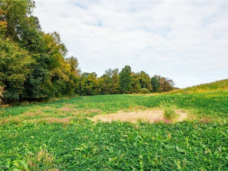 163 County Road 3, Unit 6, Rayland, OH 43943 Photo 41