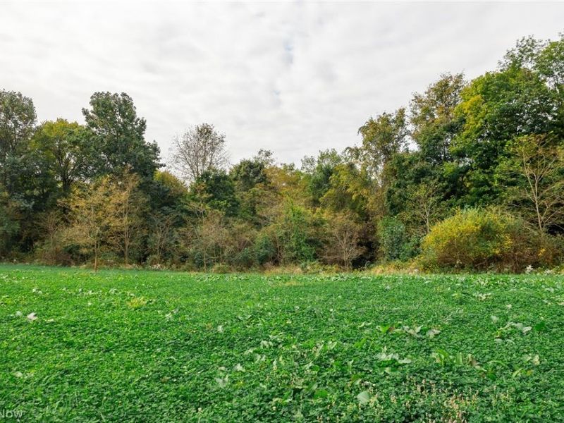 163 County Road 3, Unit 6, Rayland, OH 43943 Photo 43