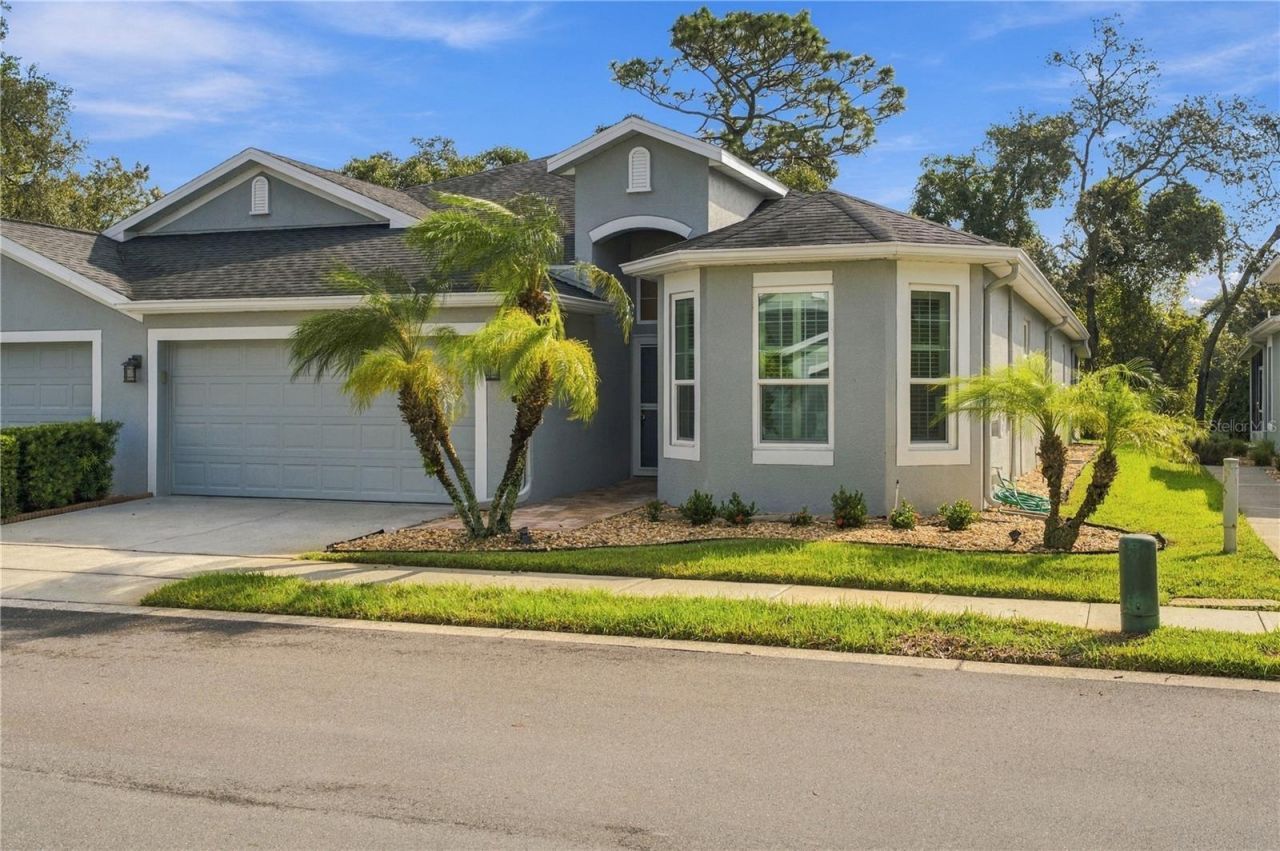 10719 Ashford Oaks Drive, Tampa, FL 33625 Main Photo