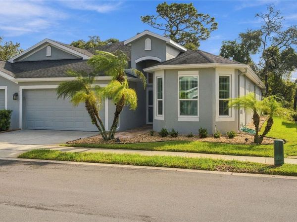 10719 ASHFORD OAKS DRIVE, TAMPA, FL 33625