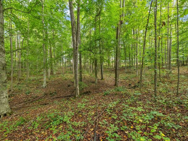 0 Tidwell Swtich Road , Unit 1, Bon Aqua, TN 37025