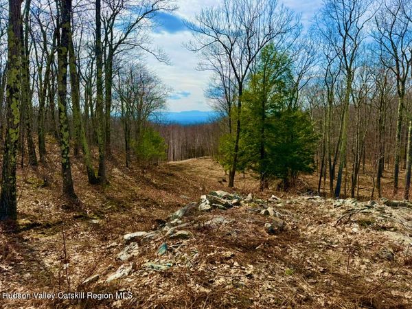 0 Mercer Mountain Road, East Chatham, NY 12060