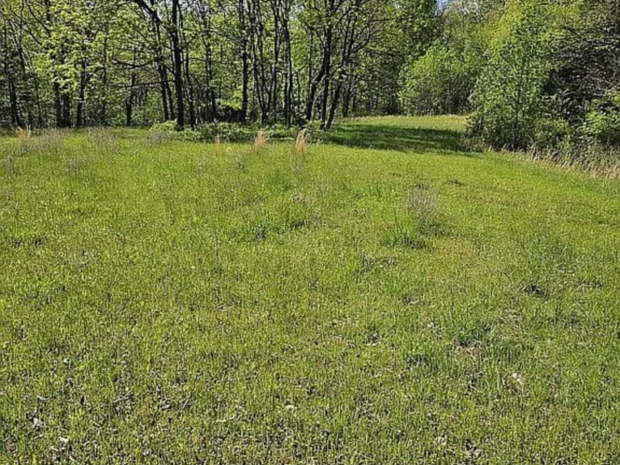 Property Image 63