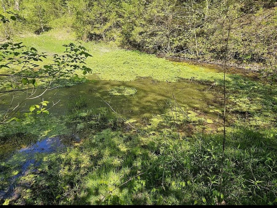 Property Image 65