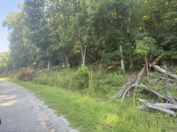 TRACTS 7-9 CARROLL HOLLOW RD, Waynesboro, TN 38485