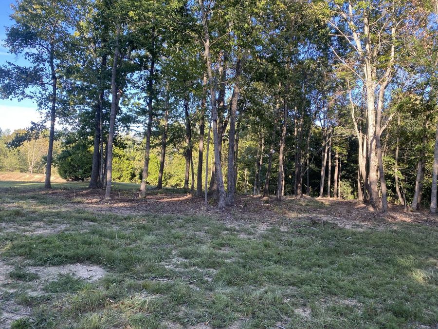 Property Image 47