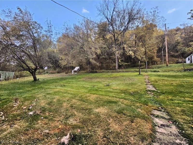 54 April Street, Dillonvale, OH 43917 Photo 5