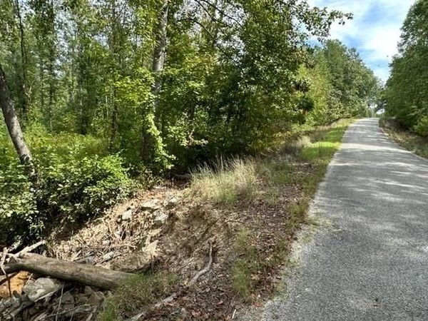 TRACT 6 BUTLER RD, Pinson, TN 38366