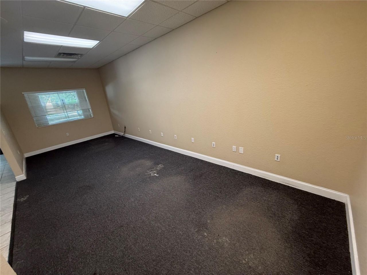 585 S Ronald Reagan Boulevard , Unit 101, Longwood, FL 32750 Photo
