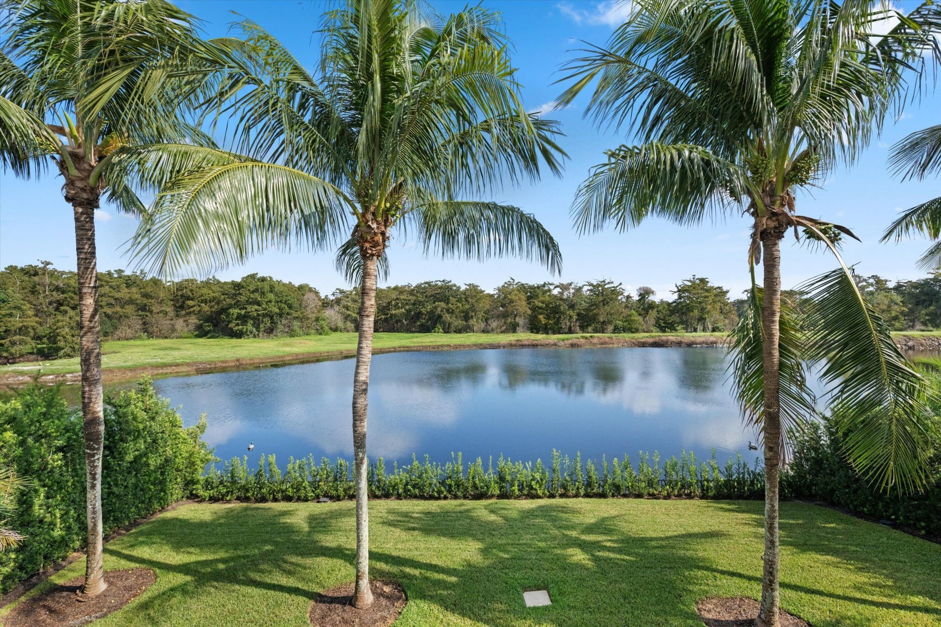 3173 Blue Cypress Lane, Wellington, FL 33414 Photo