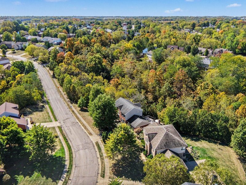 686 Meadow Wood Drive, Crescent Springs, KY 41017 Photo 35