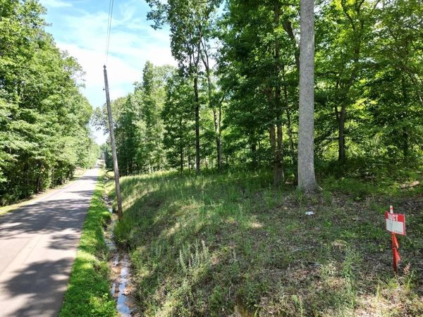 TRACT 14 BRUTON BRANCH RD, Savannah, TN 38372