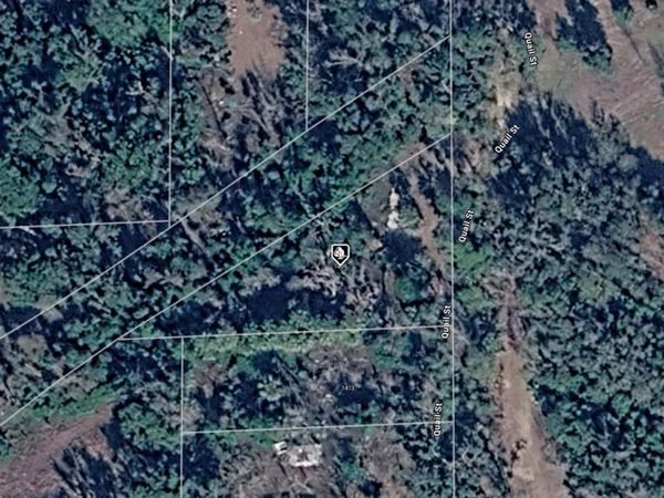 1409 QUAIL STREET , PERRY, FL 32348