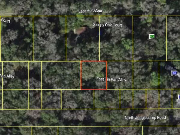 9285 E TIN PAN ALLEY , INVERNESS, FL 34453