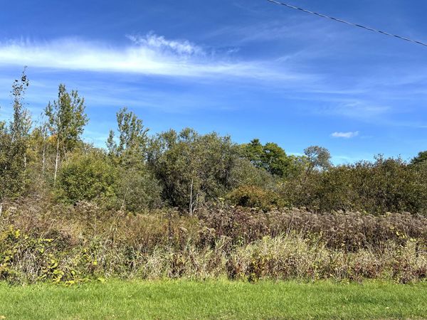 V/L Ray & Elm, New Era, MI 49446