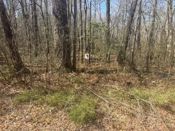 TRACT 9 22A HWY, Jacks Creek, TN 38347