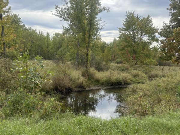 Bangham Road, Albion, MI 49224