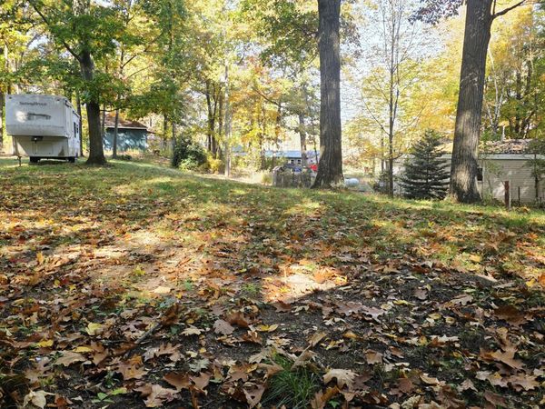 11680 Killdeer Drive, Lakeview, MI 48850