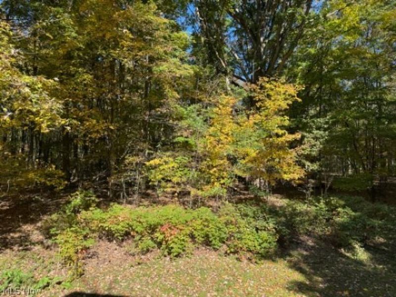 8675 Pierce Road, Garrettsville, OH 44231 Photo 27