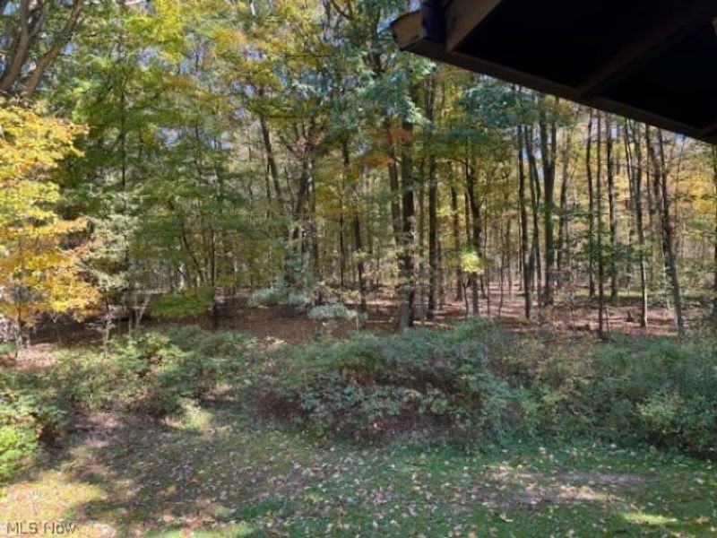 8675 Pierce Road, Garrettsville, OH 44231 Photo 28