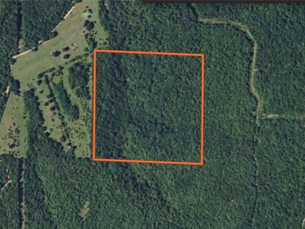 TBD Hwy 412 , Green Forest, AR 72638