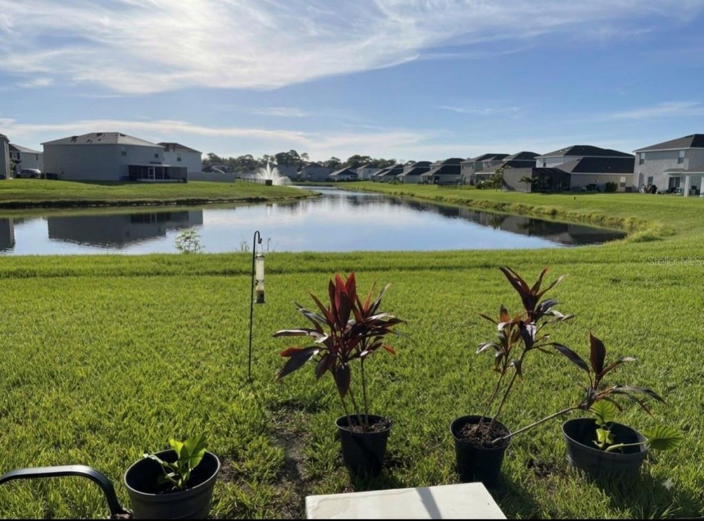 3121 Rock Sound Street, Bradenton, FL 34208 Photo
