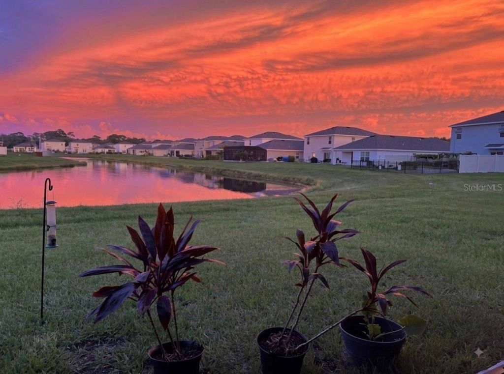 3121 Rock Sound Street, Bradenton, FL 34208 Photo